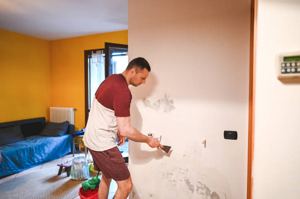 Best Insurance-Related Mold Remediation in Weeping Water, NE